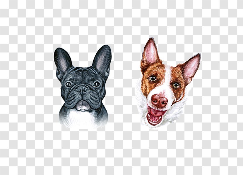 Boston Terrier French Bulldog Dog Breed - Cute Mouth Transparent PNG