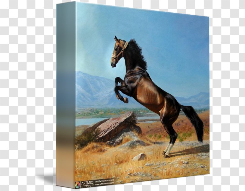 Akhal-Teke Painting Mustang Tashkent - Horse Transparent PNG