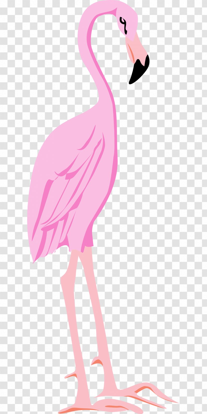 Bird Flamingo Clip Art - Flamingos Transparent PNG