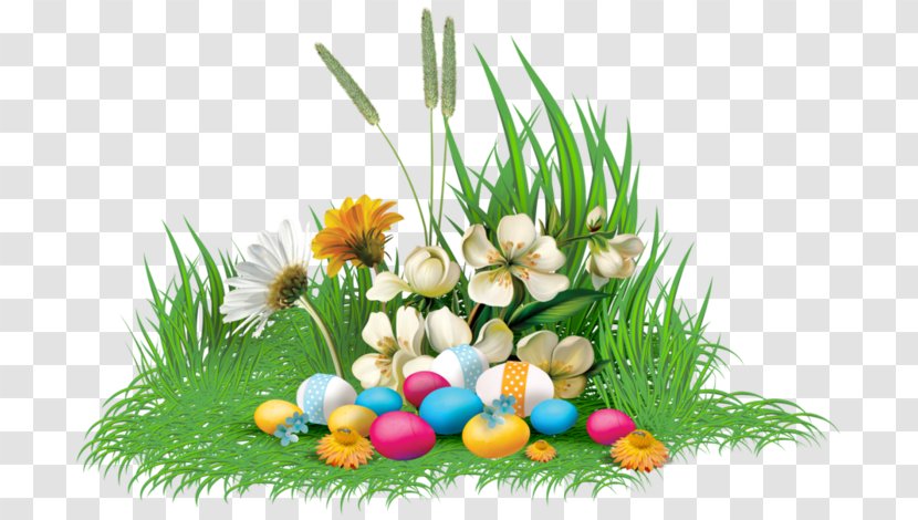 Easter Bunny Floral Design Egg Birman - Grass Family Transparent PNG