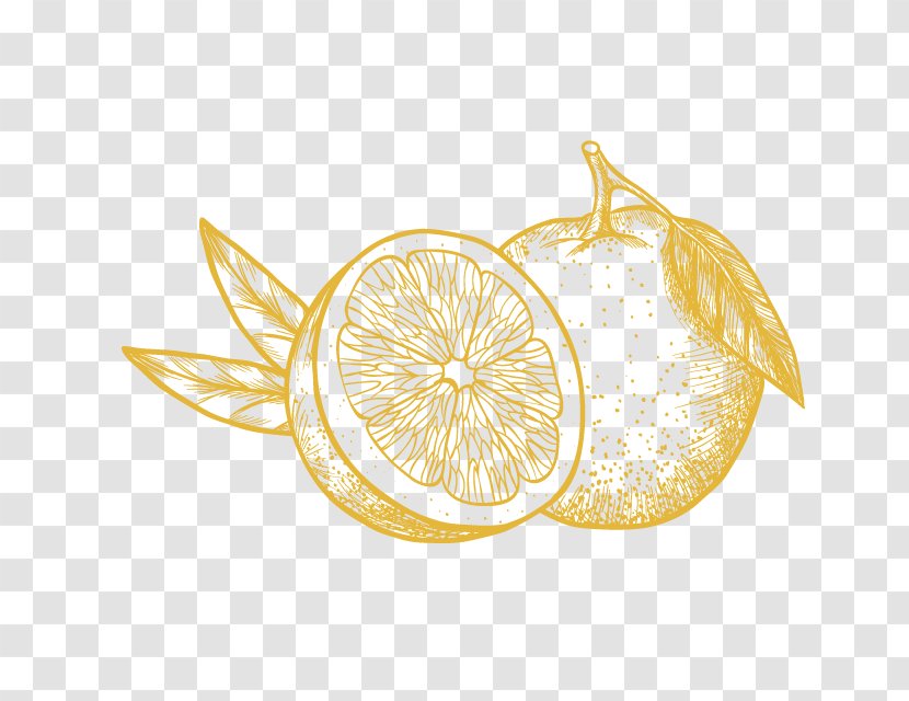 Lemon Bergamot Orange Gin Transparent PNG