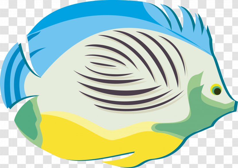 Fish Poster - Salmon - Color Vector Transparent PNG