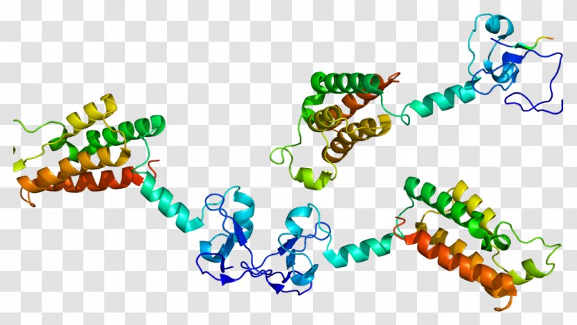 BPTF Wikipedia Protein Nucleosome Remodeling Factor Gene - Heart - Watercolor Transparent PNG