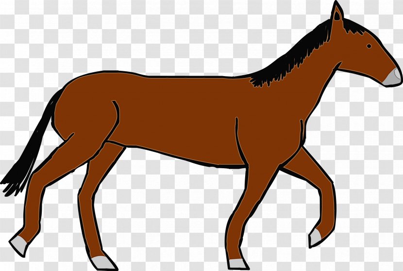 Horse Mane Mare Sorrel Foal - Paint - Colt Animal Figure Transparent PNG