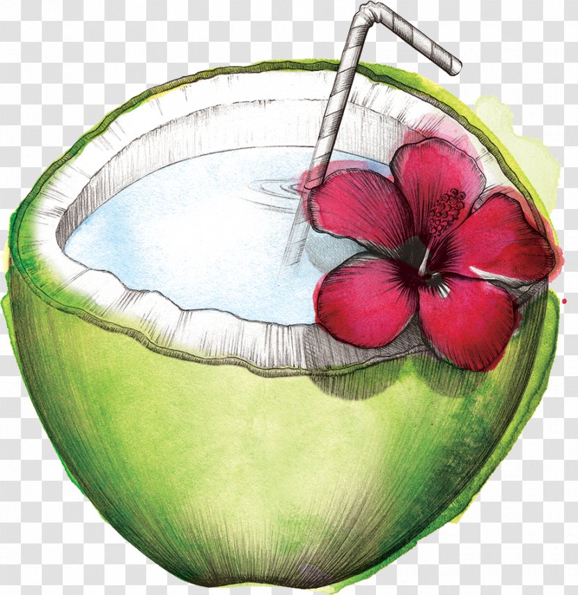 Watermelon Coconut Water Still Life Photography - Spa Transparent PNG