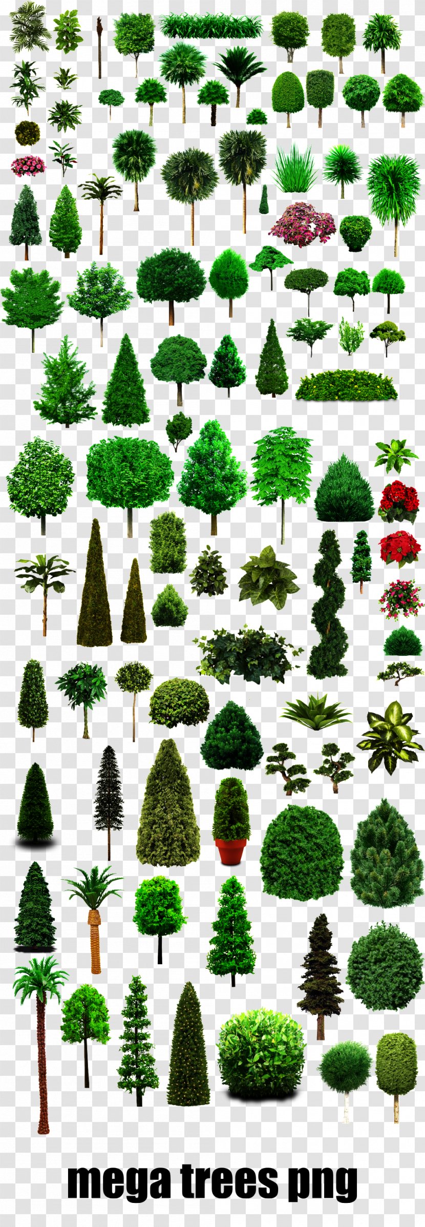 Tree Image Plants Adobe Photoshop - Plant - Mikulov Castle Transparent PNG