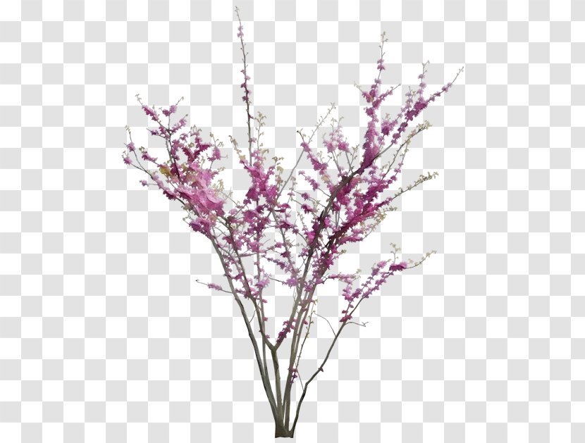 Plant Branch Flower Twig Pink - Wet Ink - Stem Grass Transparent PNG