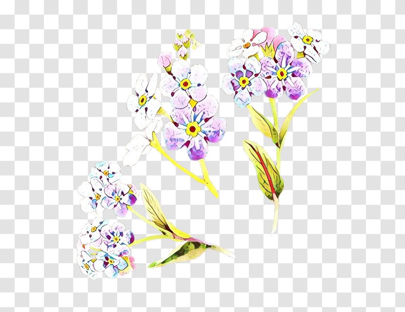 Flowers Background - Cut - Wildflower Ixia Transparent PNG