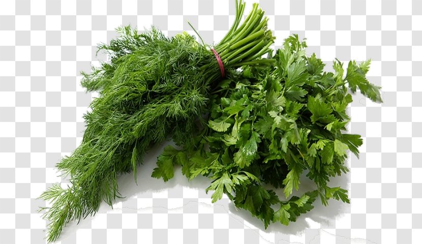 Parsley Dill Vegetable Herb Salad - Celeriac Transparent PNG