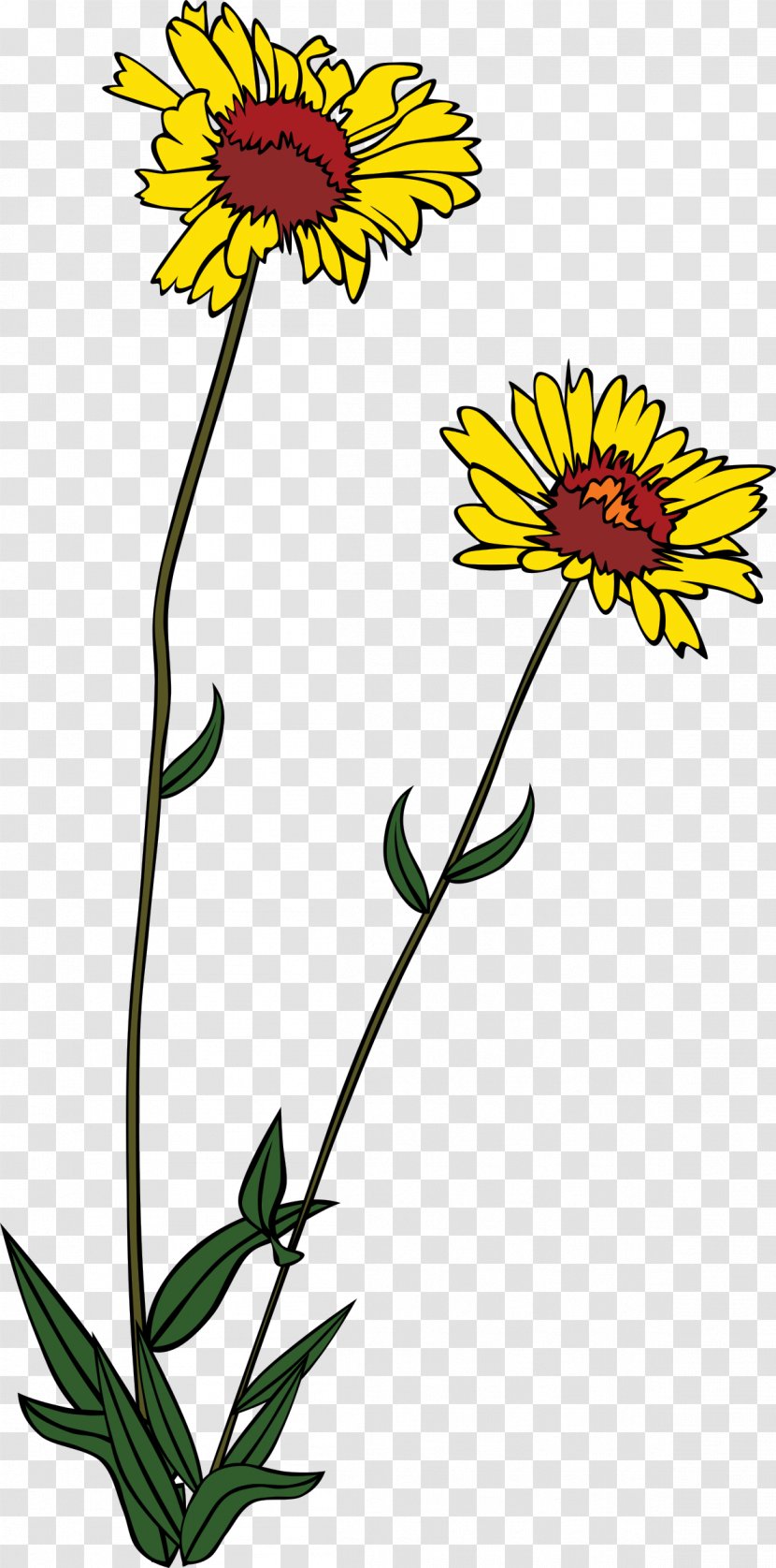 Wildflower Clip Art - Public Domain - Wild Flowers Transparent PNG