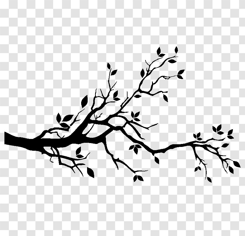 Wall Decal Branch Tree Drawing Transparent PNG