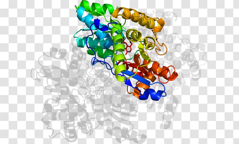 Art Organism Clip - Text - Adenosine Deaminase Zalpha Domain Transparent PNG