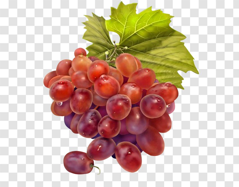 Grape Juice Wine Grapevines - Food Transparent PNG