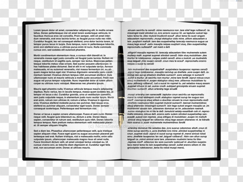 Book Graphic Design Web Text - Read Transparent PNG