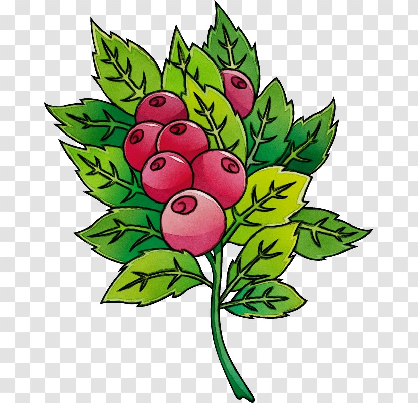 Floral Design Transparent PNG