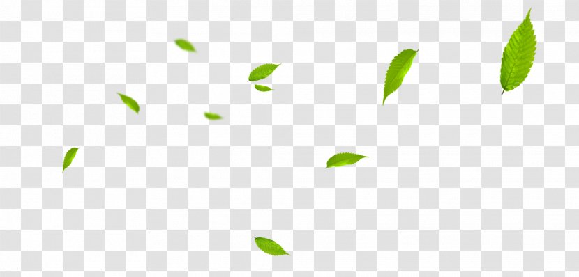 Green Pattern - Floating Leaves Transparent PNG
