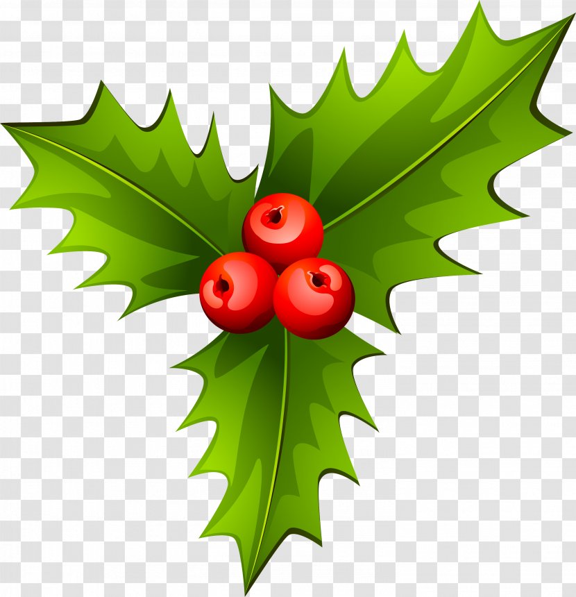 Holly Christmas Tree Plant - HOLLY Transparent PNG