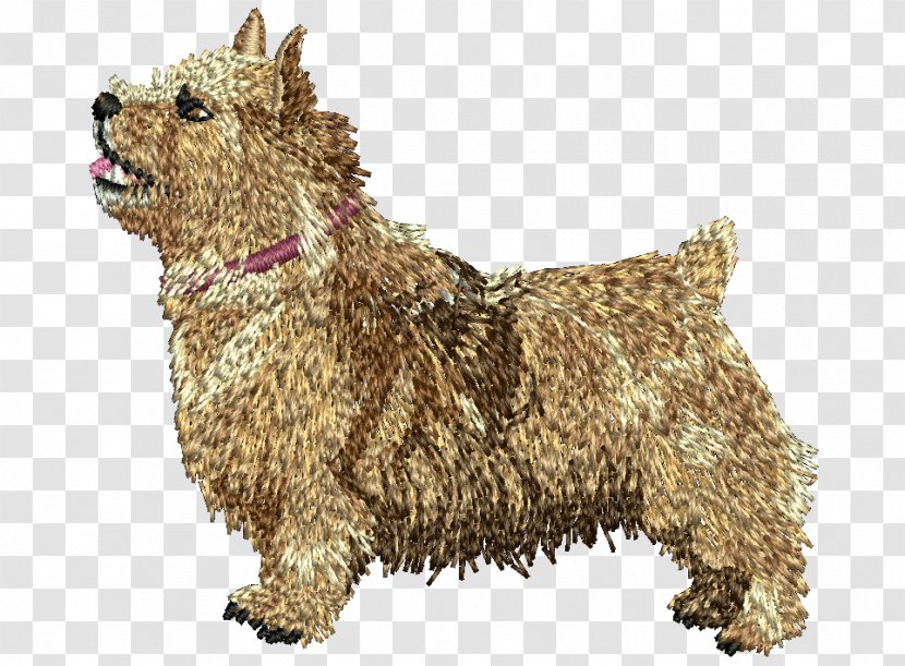 Norwich Terrier Glen Cairn Norfolk Dandie Dinmont Transparent PNG