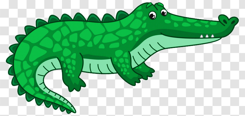 Crocodiles Alligators Certification Wimos Ag Transparent PNG