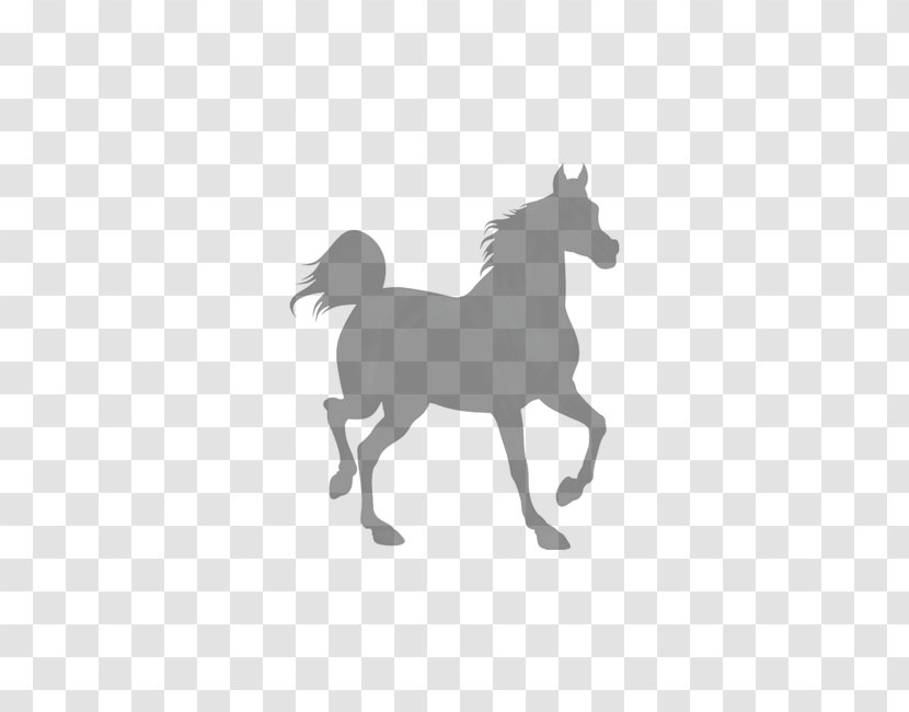 Shire Horse Black Royalty-free Clip Art - Silhouette Transparent PNG