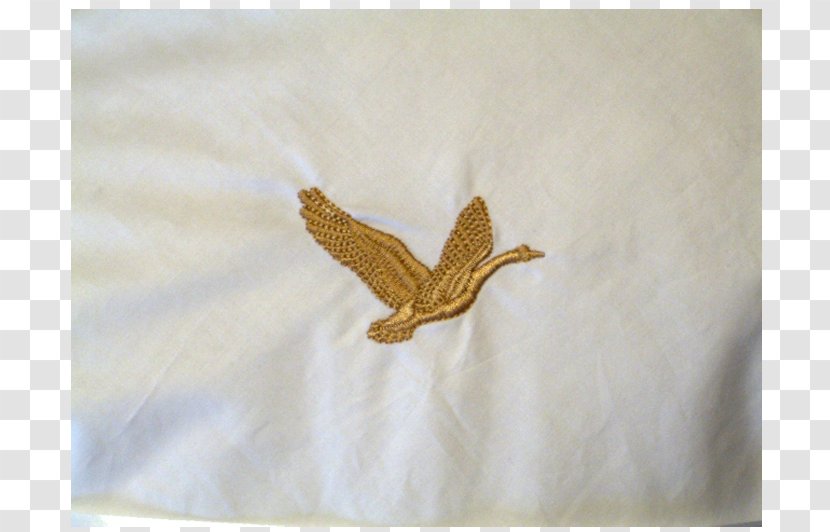 Duvet Down Feather Centimeter - Gold Kiss Transparent PNG