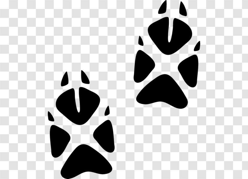 Paw Animal Track Fox Cat - Monochrome Photography Transparent PNG