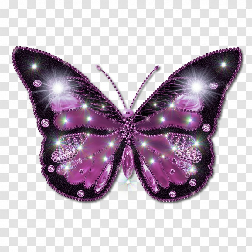 Butterfly Clip Art - Violet - Image Transparent PNG