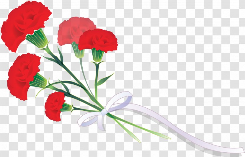 Cut Flowers Carnation Garden Roses Plant - Stem - Flower Transparent PNG