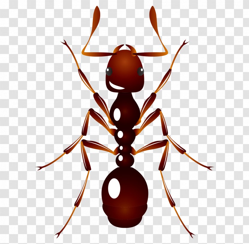 Ant U6606u866b: U8682u8681 Insect - Vector Cartoon Hand Painted Fine Red Ants Transparent PNG