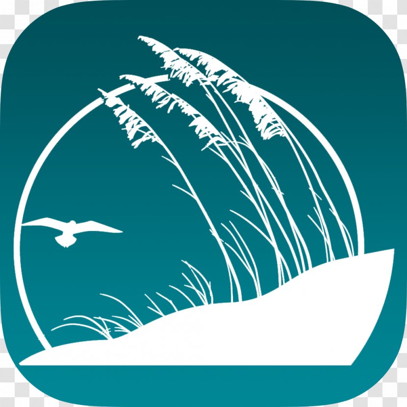 Marine Mammal Green Turquoise Logo - Panama City Beach Transparent PNG