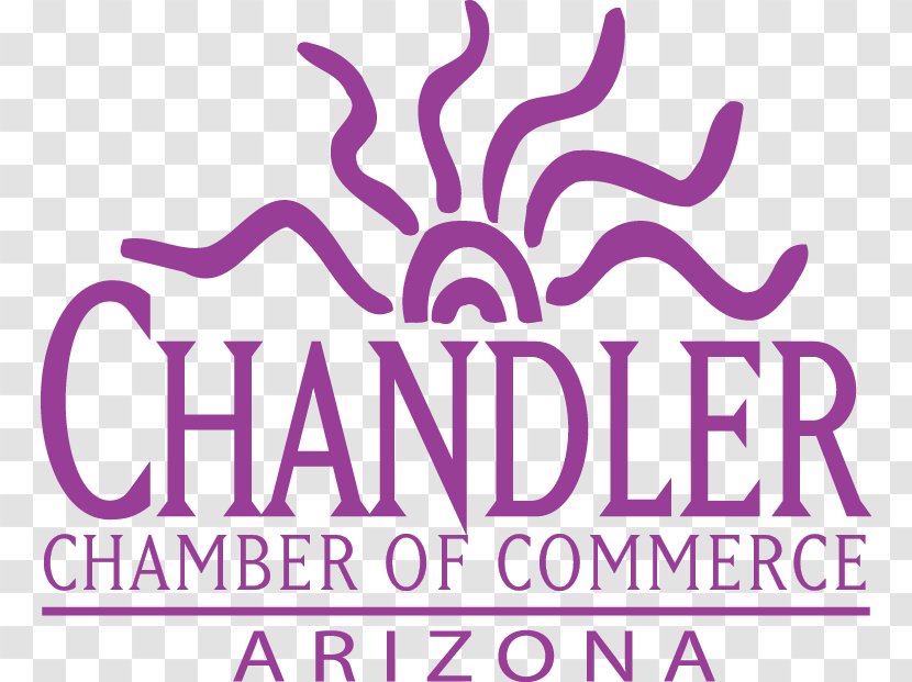Clip Art Chandler Chamber Of Commerce Brand Pink M - Black Friday Flyer Transparent PNG