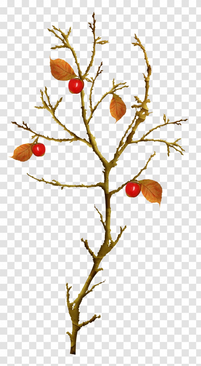 Autumn Leaves Twig Tree Clip Art - Leaf - Beautiful Apple Transparent PNG