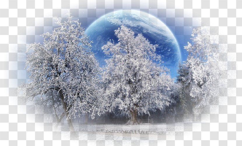 Desktop Wallpaper Winter Photography - Winters Transparent PNG