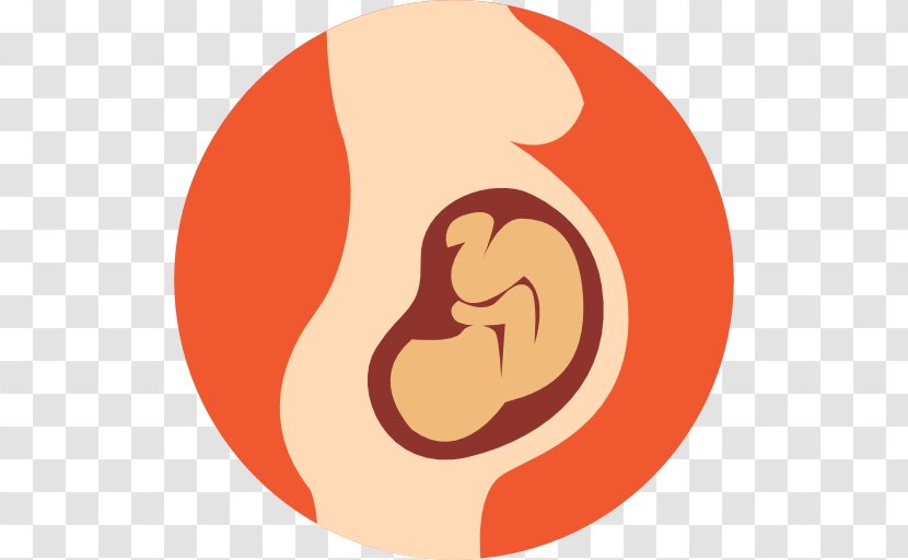 Pregnancy Fetus Infant - Silhouette Transparent PNG