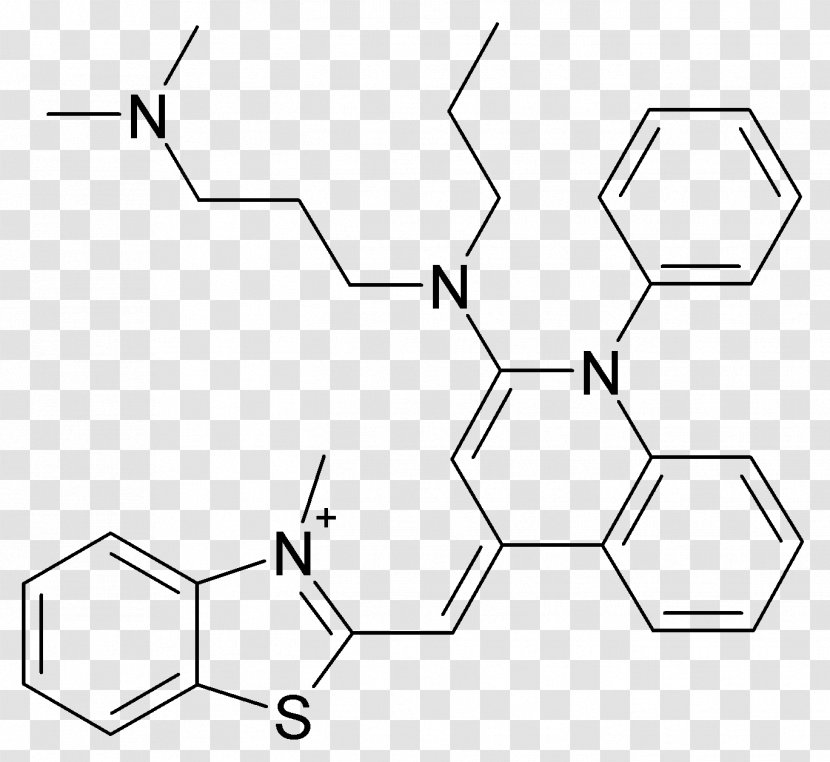 SYBR Green I Molecular Biology Chemistry Science Research Transparent PNG