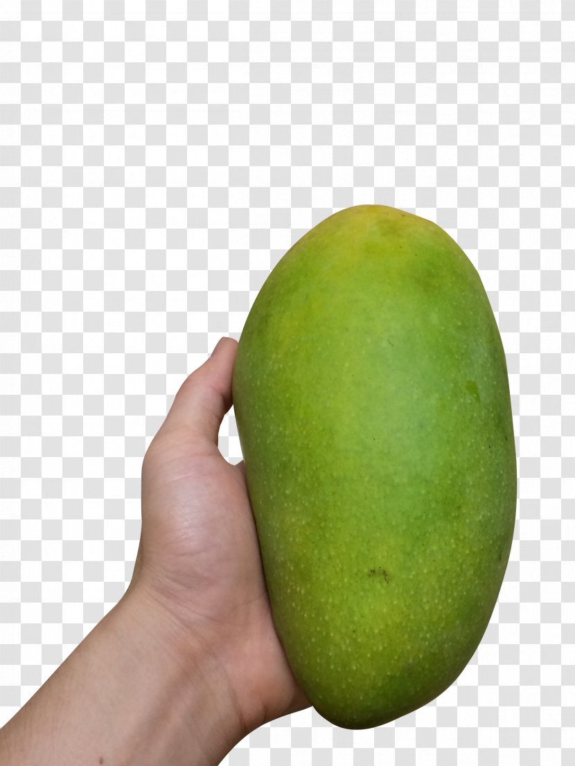 Mango - Auglis - Holding A Transparent PNG