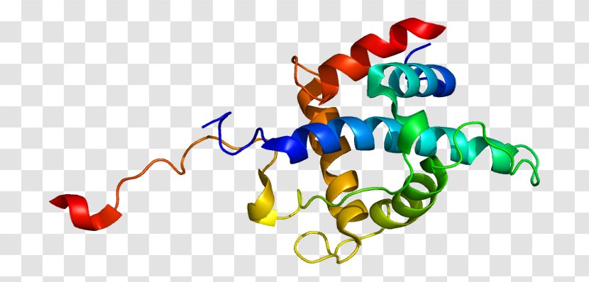 CITED2 Gene LHX2 AP Endonuclease Melanocyte-stimulating Hormone - Cartoon - Watercolor Transparent PNG