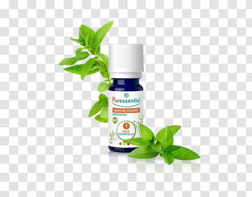 Peppermint Essential Oil Huile Essentielle De Menthe Aromatherapy - Linalool Transparent PNG
