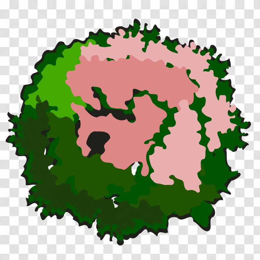 Tree Drawing Clip Art - Stock Photography - Top View Transparent PNG