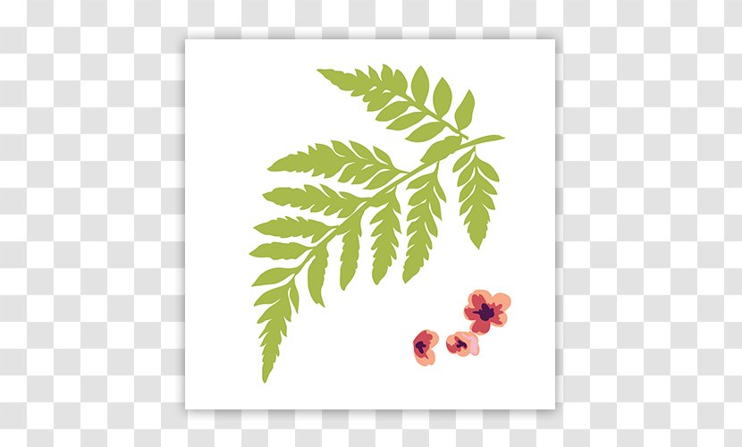 Flowering Plant Fruit Leaf - Flower Template Transparent PNG