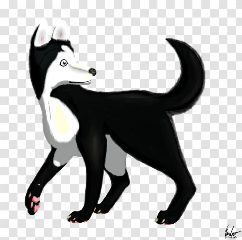 Cat Dog Mammal Carnivora Animal - Snout - Husky Transparent PNG