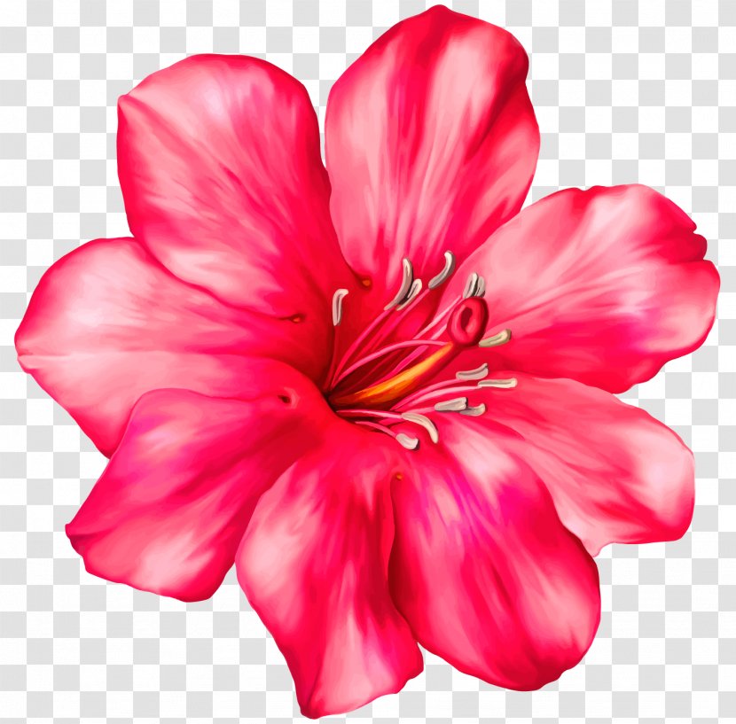 Pink Flowers Tropics Clip Art - Flower Transparent PNG