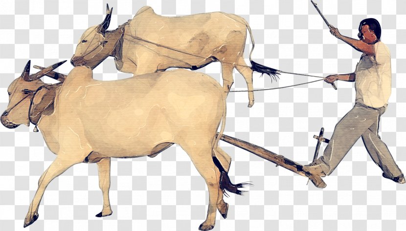 Goat Cartoon - Oryx - Kudu Gemsbok Transparent PNG