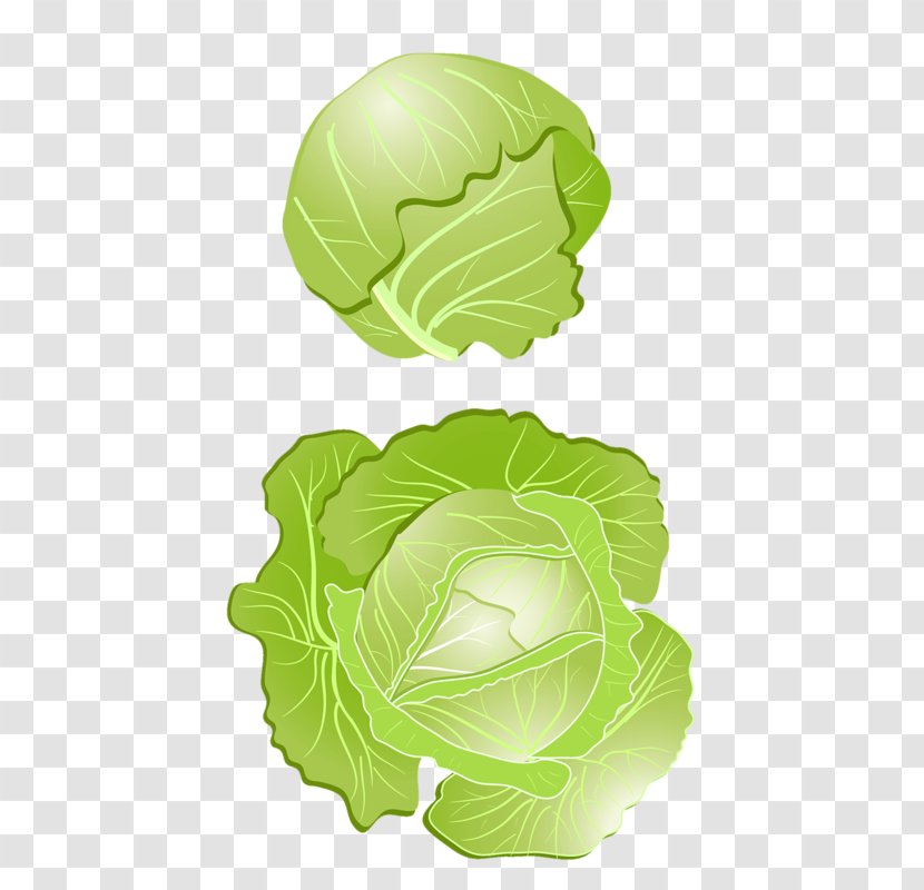 Red Cabbage Vegetable Clip Art - Photography Transparent PNG