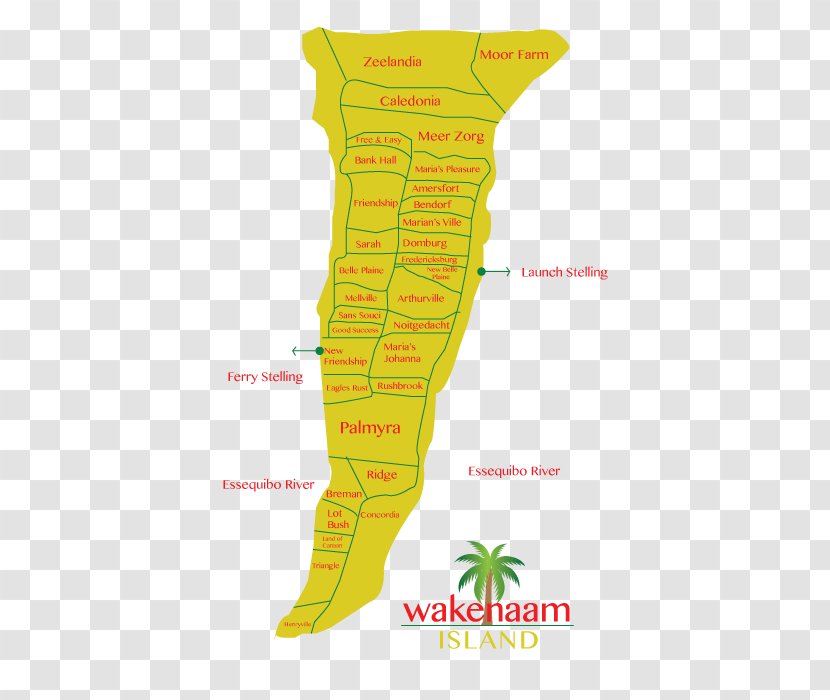 Product Design Map Tuberculosis - Special Olympics Area M - Rice Farming Guyana Transparent PNG