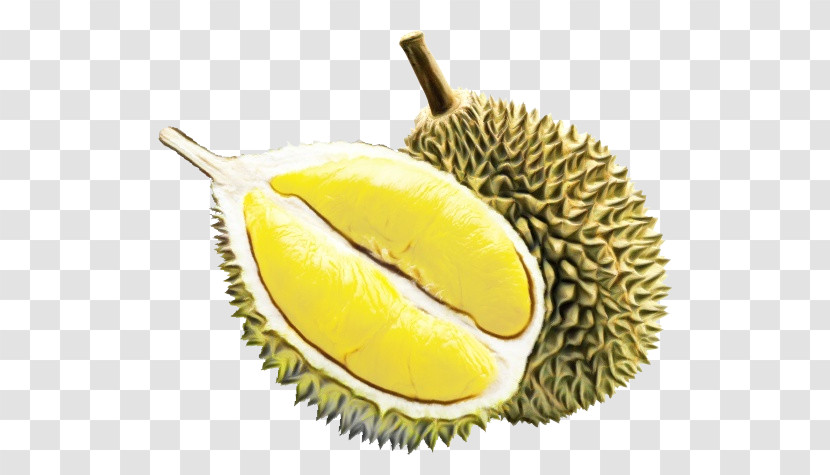 Durian Fruit Food Yellow Artocarpus Transparent PNG