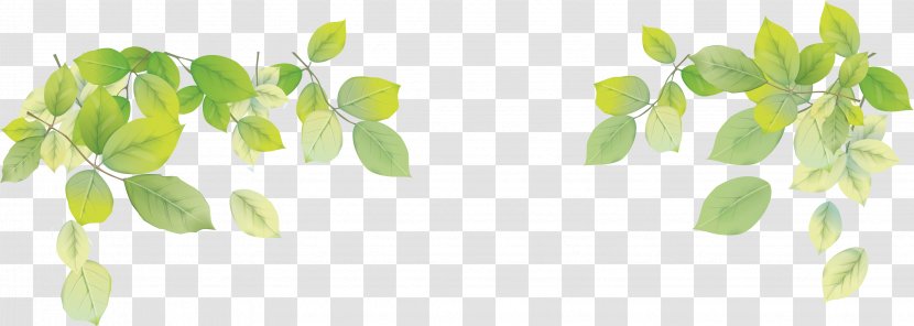 Laptop Leaf Desktop Wallpaper - Grass - Transparent Transparent PNG