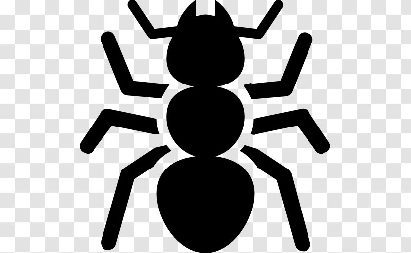 Ant - Black - Ants Vector Transparent PNG