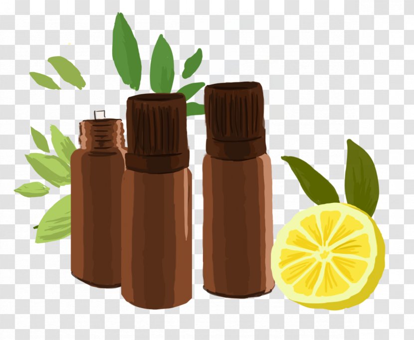 Product Design Alternative Health Services Medicine - Leaf - Citron Transparent PNG