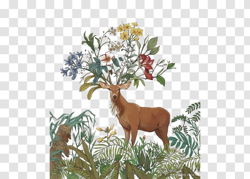 Red Deer Elk Paint - Branch - Brown Goat Wearing A Flower Transparent PNG